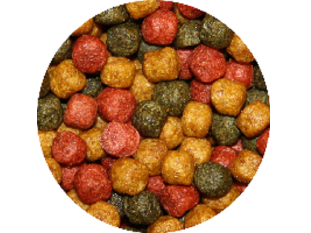 Krmivo pro KOI a okrasné ryby pro intenzivní barvy.