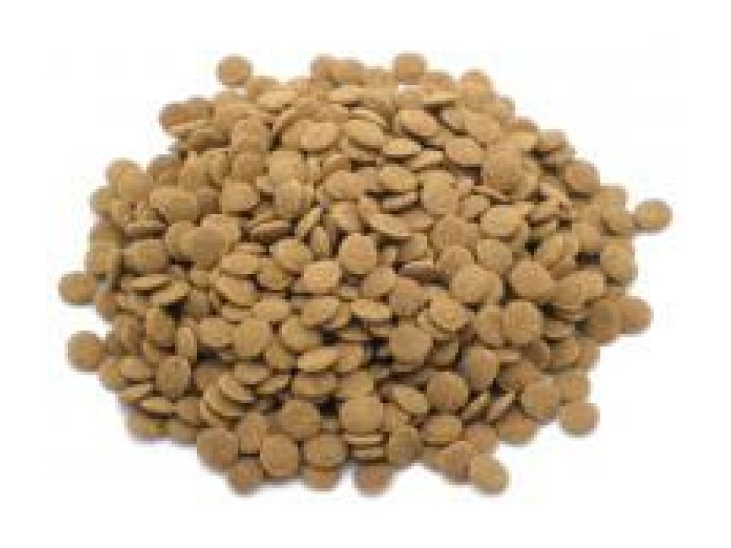 KOI colour krmivo pro KOI (1,2l - 7mm)