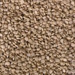 KOI colour krmivo pro KOI (15kg-3mm)