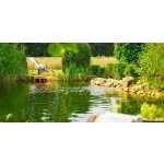 Oase OptiPond - ke stabilizaci vody po dešti (5 l na 50m3)