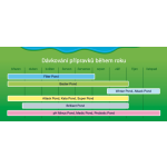 Home pond Super pond - odstraňuje všechny druhy řas (100g na 5m3)