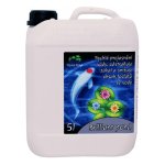 Home pond Brilliant pond - odstraňuje zelenou vodu (5 l na 160-250m3)