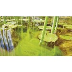 Tripond Peroxyd-odstraňuje vláknitou řasu (1kg na 20-50m3)