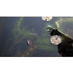 Tripond Peroxyd-odstraňuje vláknitou řasu (1kg na 20-50m3)