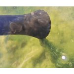 Oase PondoVac Classic (jezírkový a bazénový vysavač)