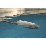 Oase PondoVac 5 (jezírkový a bazénový vysavač)