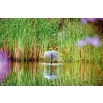 Oase Aquarius Fountain Set Classic 750 (fontánové čerpadlo)