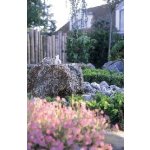 Oase Aquarius Universal Classic 1500 (fontánové čerpadlo)