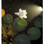 Pontec PondoStar LED Set 3 (jezírkové LED osvětlení)