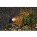 Pontec PondoStar LED Warm Set 3 (jezírkové LED osvětlení)