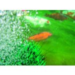 Oase OxyTex Set 1000 CWS (provzdušňovací sada na 10m3)