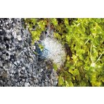 Oase AquaOxy 500 (provzdušňovací set na 5m3)