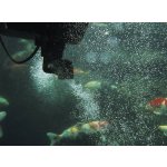 Oase SwimSkim 50 (jezírkový skimmer na 50m2)