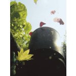 Oase AquaSkim Gravity (jezírkový skimmer na 40 m²)