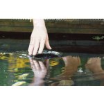 Oase AquaSkim Gravity (jezírkový skimmer na 40 m²)