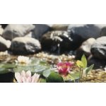 Oase PE plastové oválné jezírko (750L)