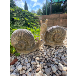 Šnek hnědo-zelený (polyston)