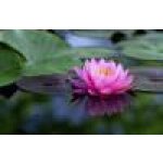 Zlepšení kvality vody