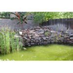 Odstranění zelené vody