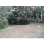 Odstranění bahna a kalů