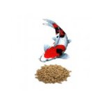 Krmiva pro okrasné ryby