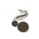 Krmiva pro jeseterovité ryby