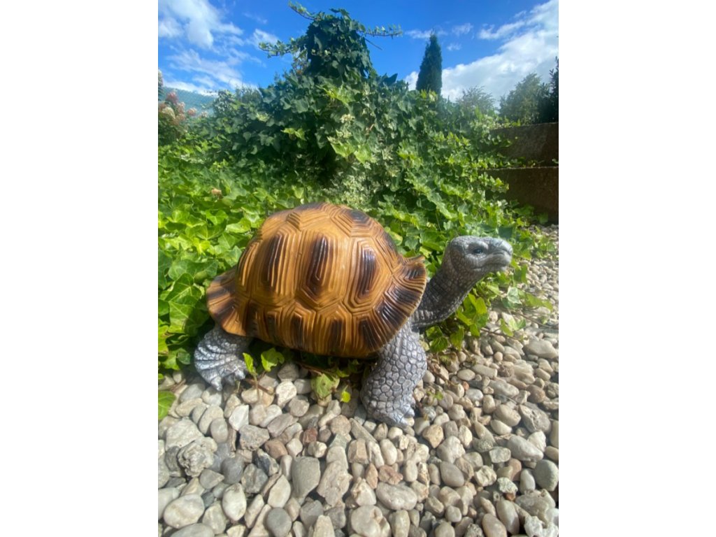 Želva velká (polyston)