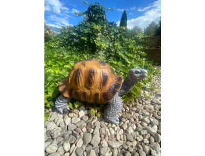 Želva velká (polyston)