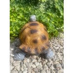 Želva velká (polyston)