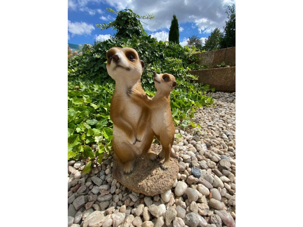 Surikaty pár střední (polyston)