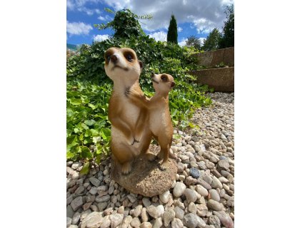 Surikaty pár střední (polyston)