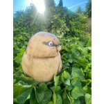 Ptáček velký (keramika)