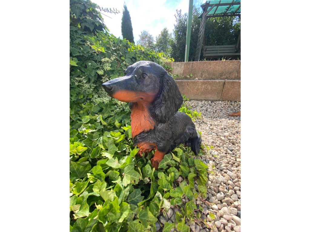 Pes jezevčík velký (polyston)