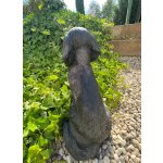 Pes jezevčík velký (polyston)