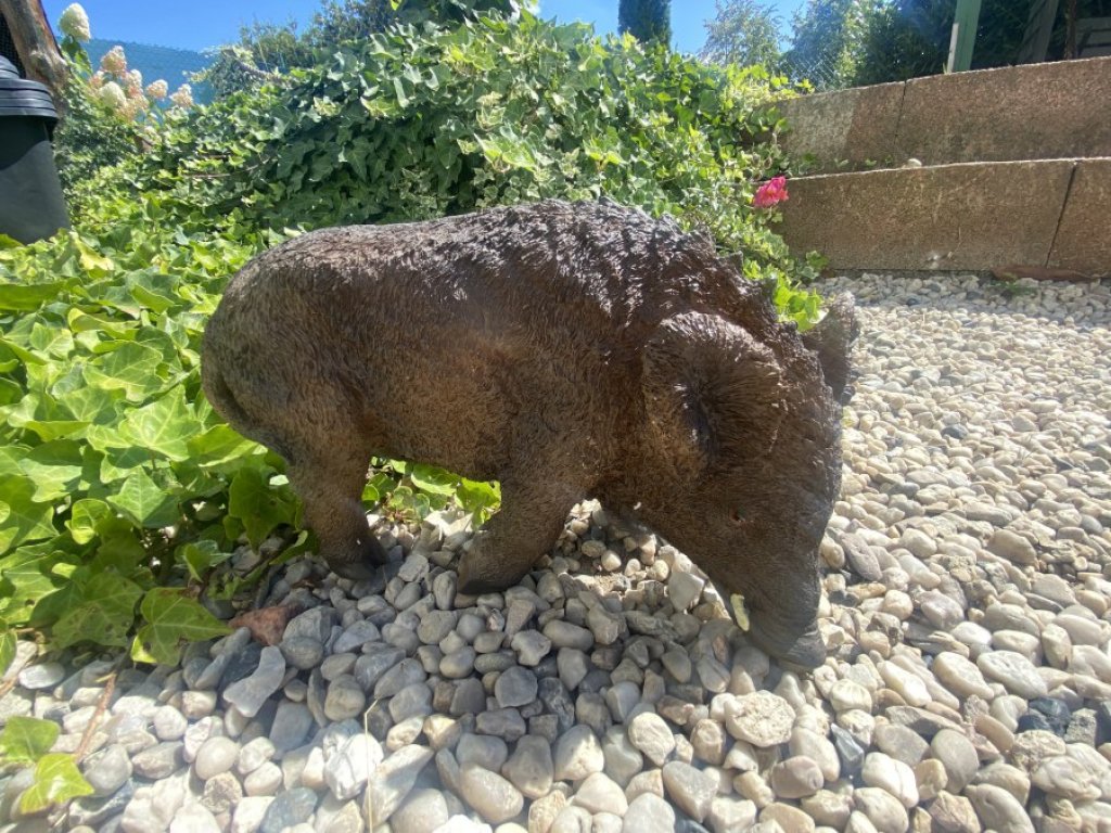 Divoké prase větší (polyston)