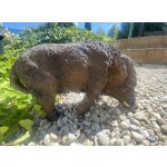 Divoké prase větší (polyston)