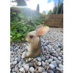 Králík šedý menší (polyston)