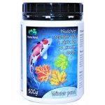 Home pond Winter pond - prevence proti řasám v zimě (500g na 10m3)