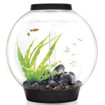 Oase biOrb CLASSIC 105 MCR (akvárium černé)