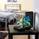 Oase biOrb set rostlin modrá a fialová