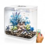 Oase biOrb set rostlin modrá a fialová