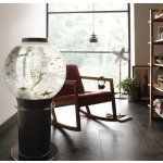 Oase biOrb mořské hvězdice žluté