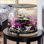 Oase biOrb TUBE 35 LED (akvárium bílé)