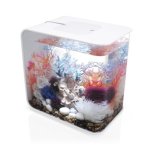 Oase biOrb FLOW 30 MCR (akvárium bílé)