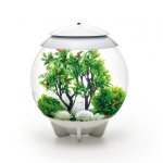 Oase biOrb podvodní koule cesmína