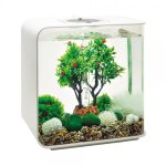 Oase biOrb podvodní koule cesmína