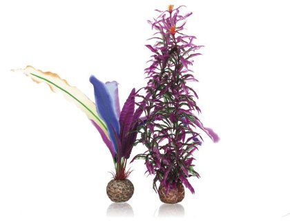 Oase biOrb rostlina papouščí peří S