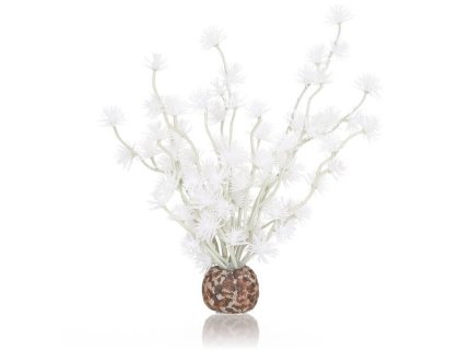 Oase biOrb rostlina Bonsai Ball bílá