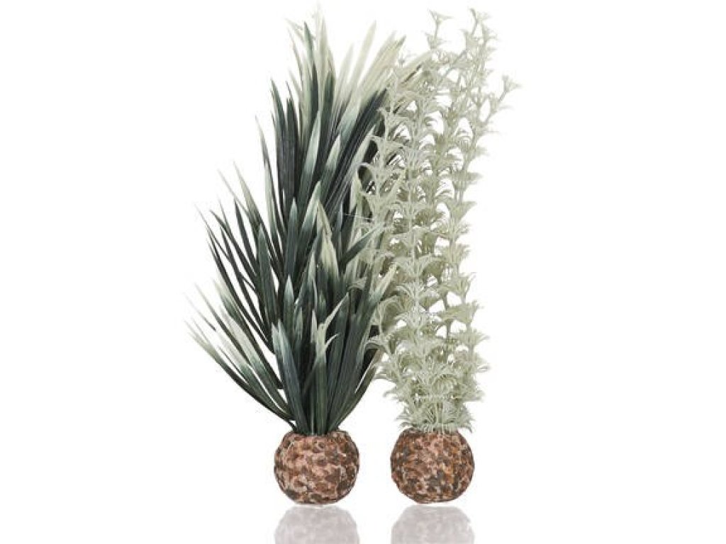 Oase biOrb set rostlin Ambulie šedo-zelená S