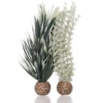 Oase biOrb set rostlin Ambulie šedo-zelená S